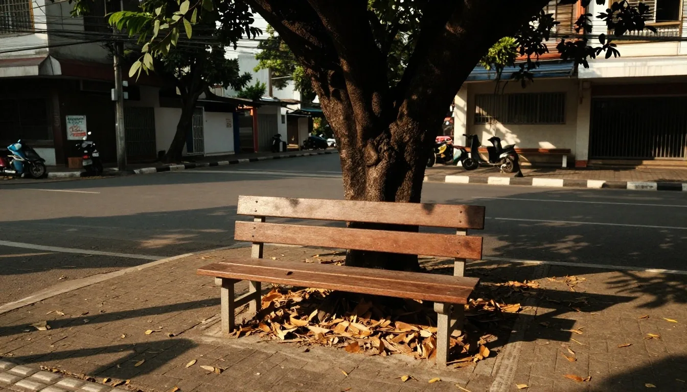 An empty bench under a large tree in low late-afternoon sunlight